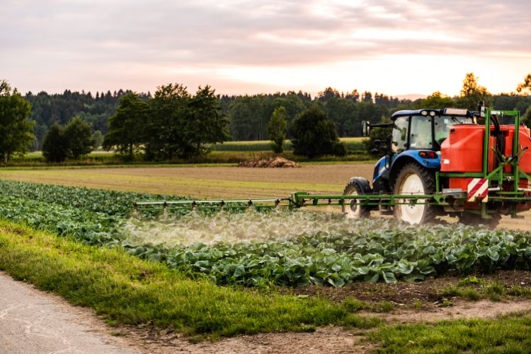 Tractor spraying pesticides on a cabbage field